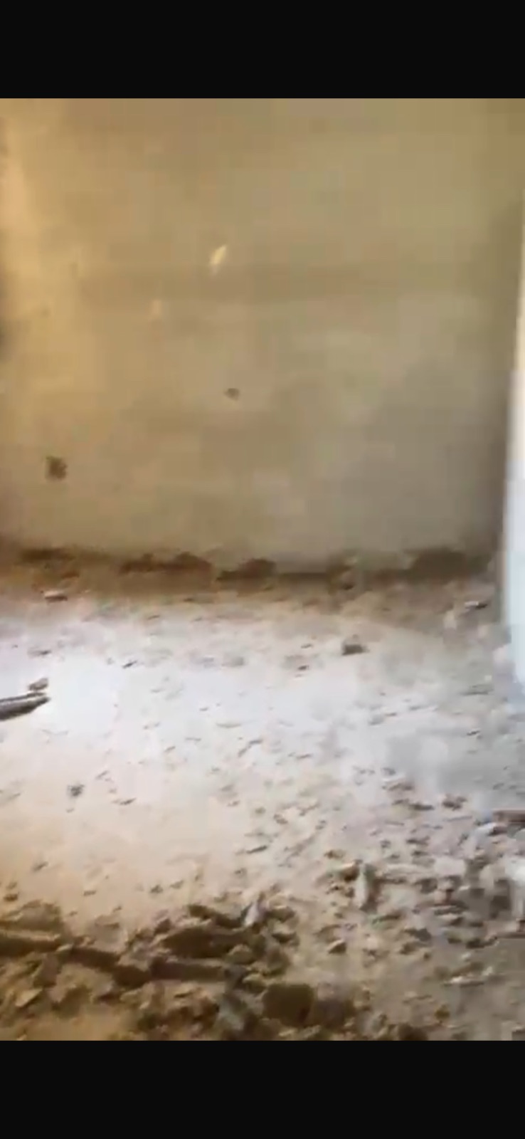 دجله بالمز 3