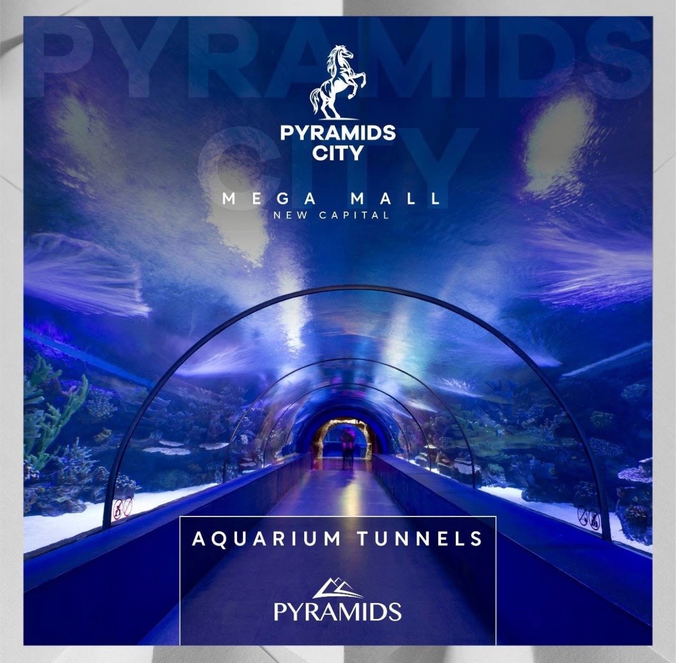Pyramids City ( Mega Mall ) 6