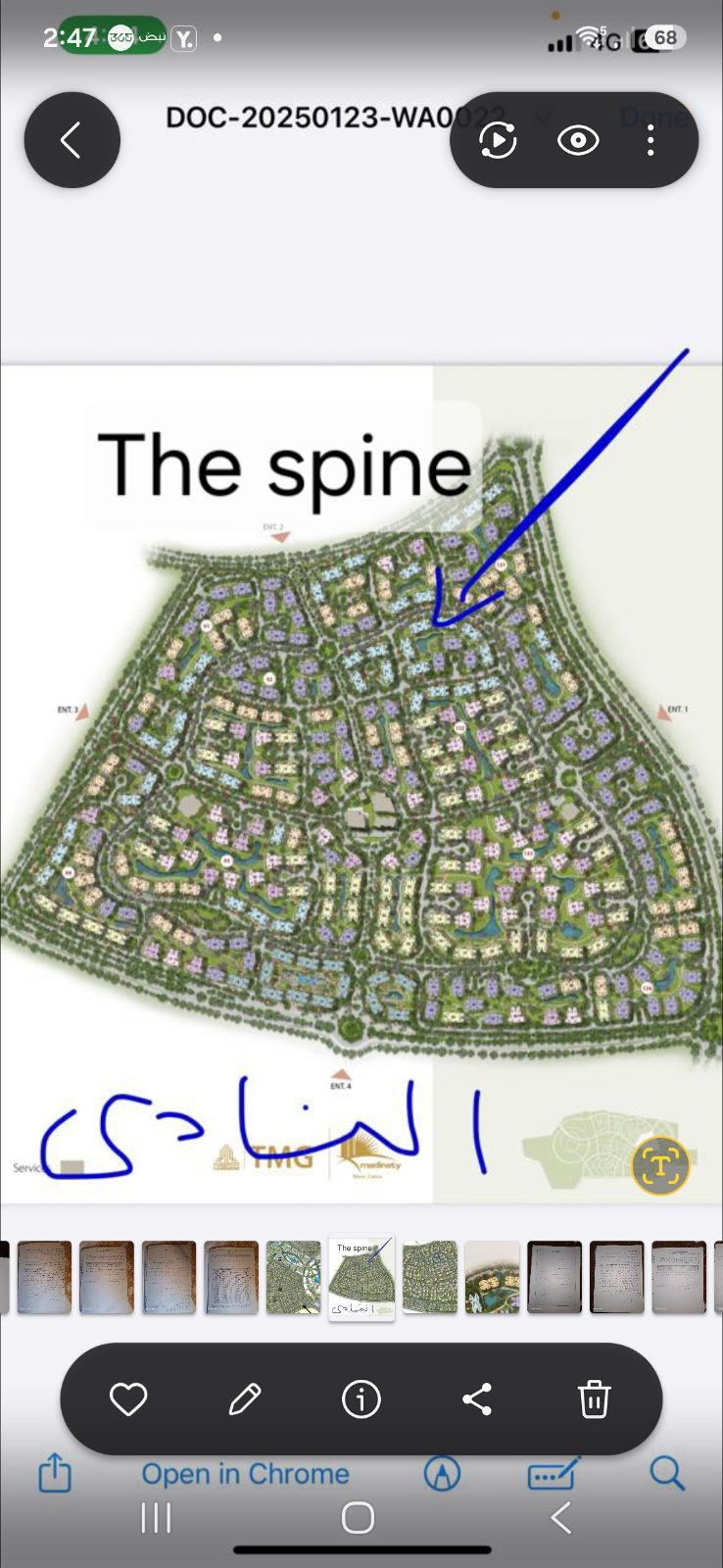 بريفادو 2