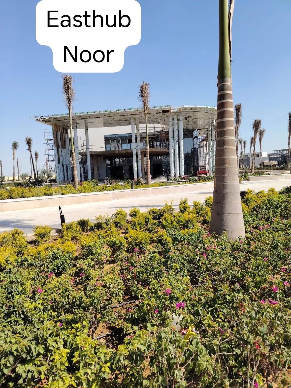 نور 3