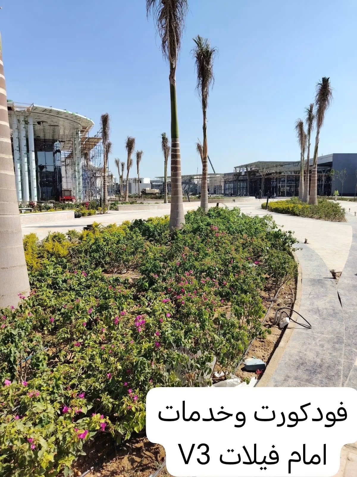 نور 5