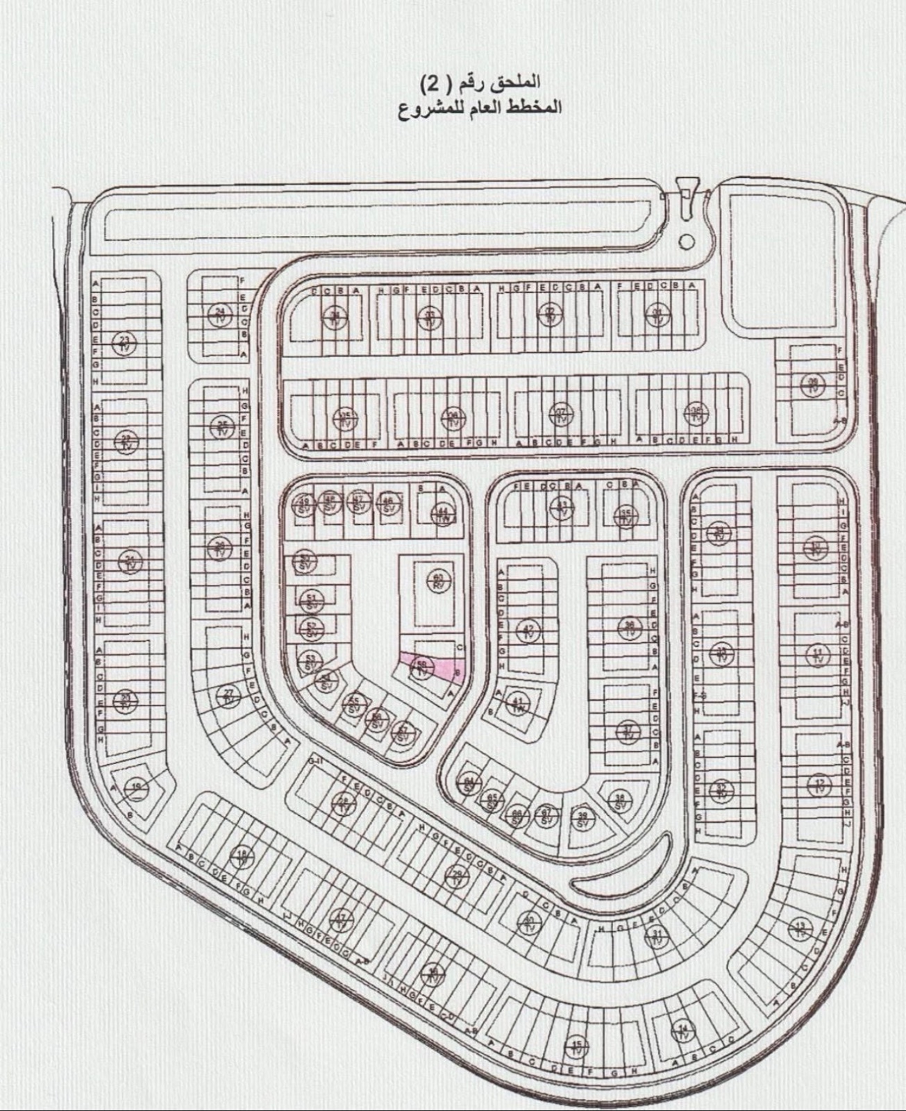 مارك جاردنز 3