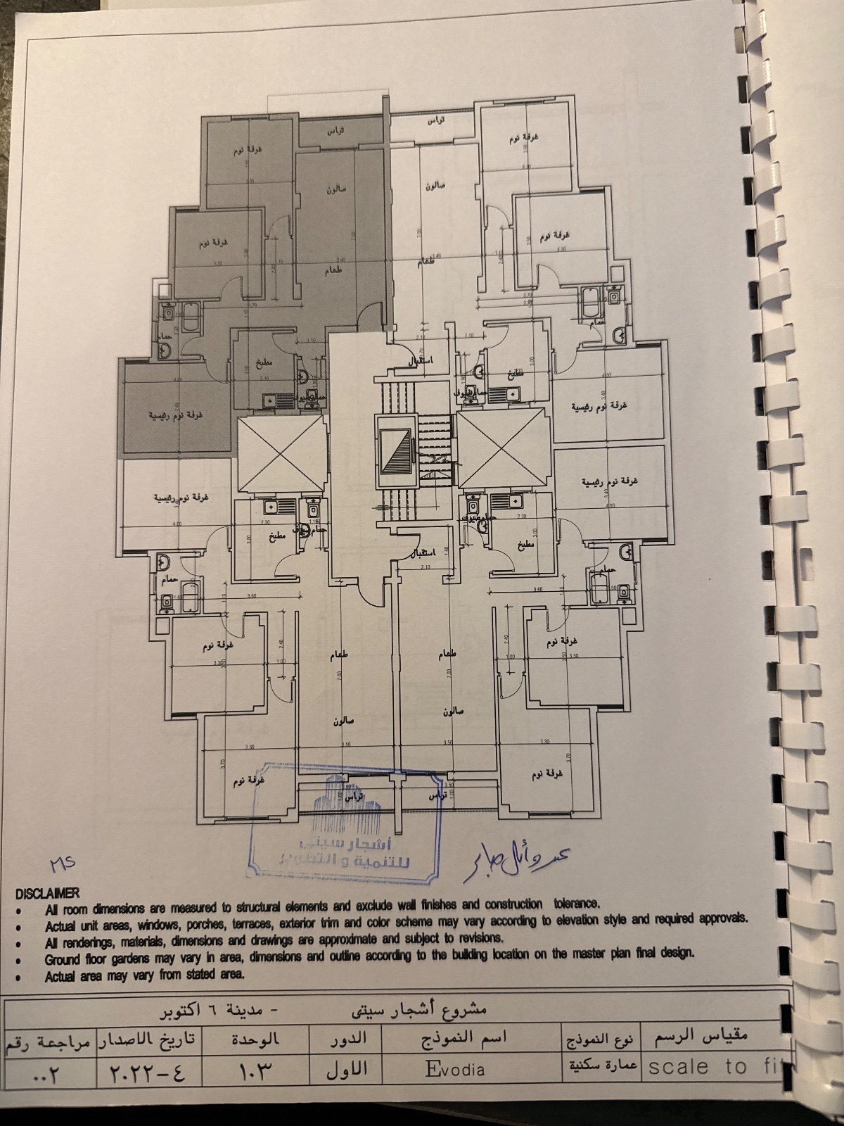 اشجار سيتي 2