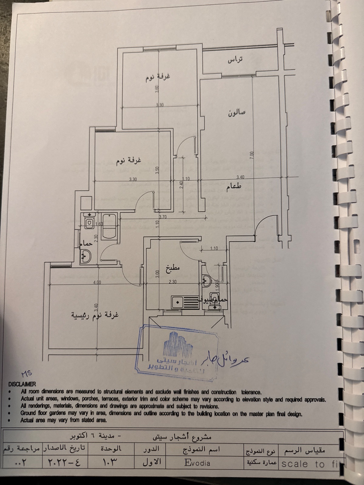 اشجار سيتي 3