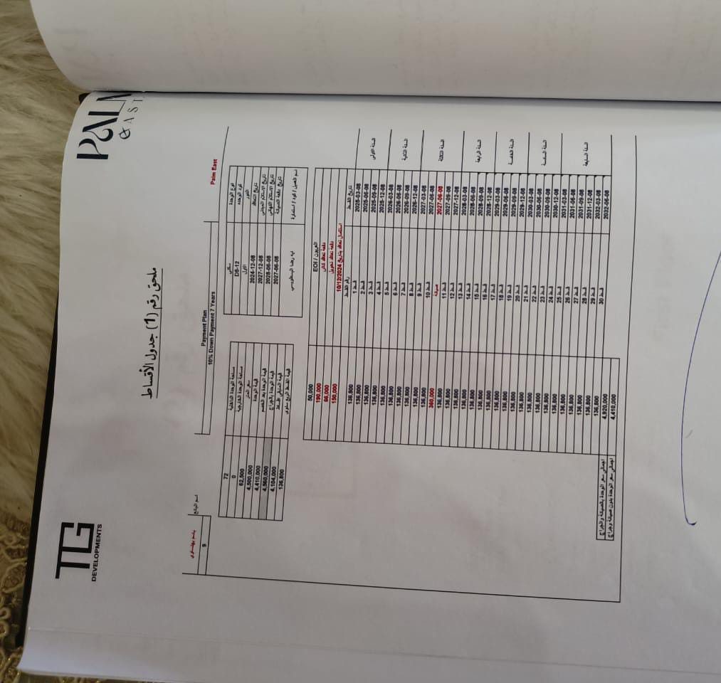 بالم ايست 9