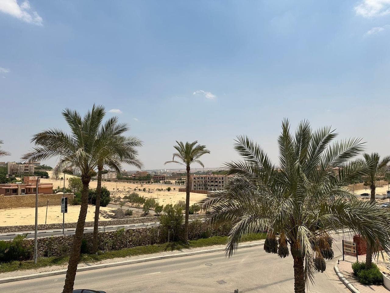 الجولف سيتي 8