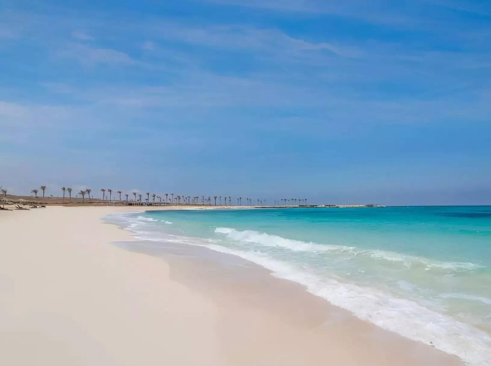 دي باي 4
