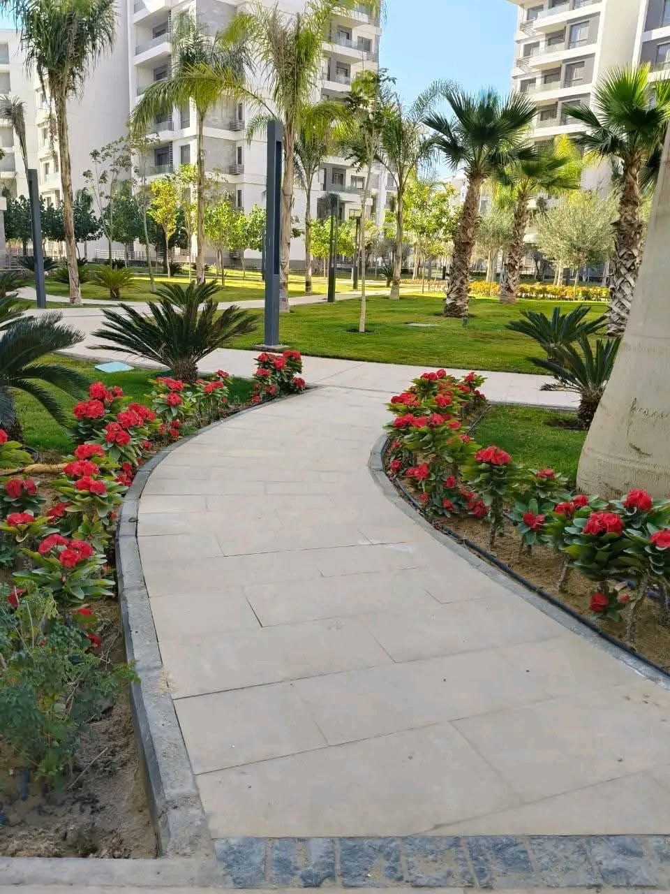 نور 3
