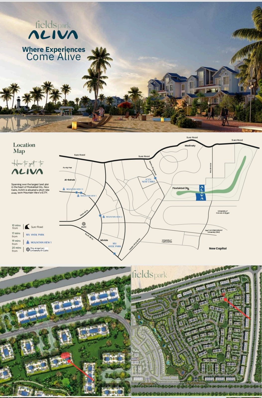 Aliva 2