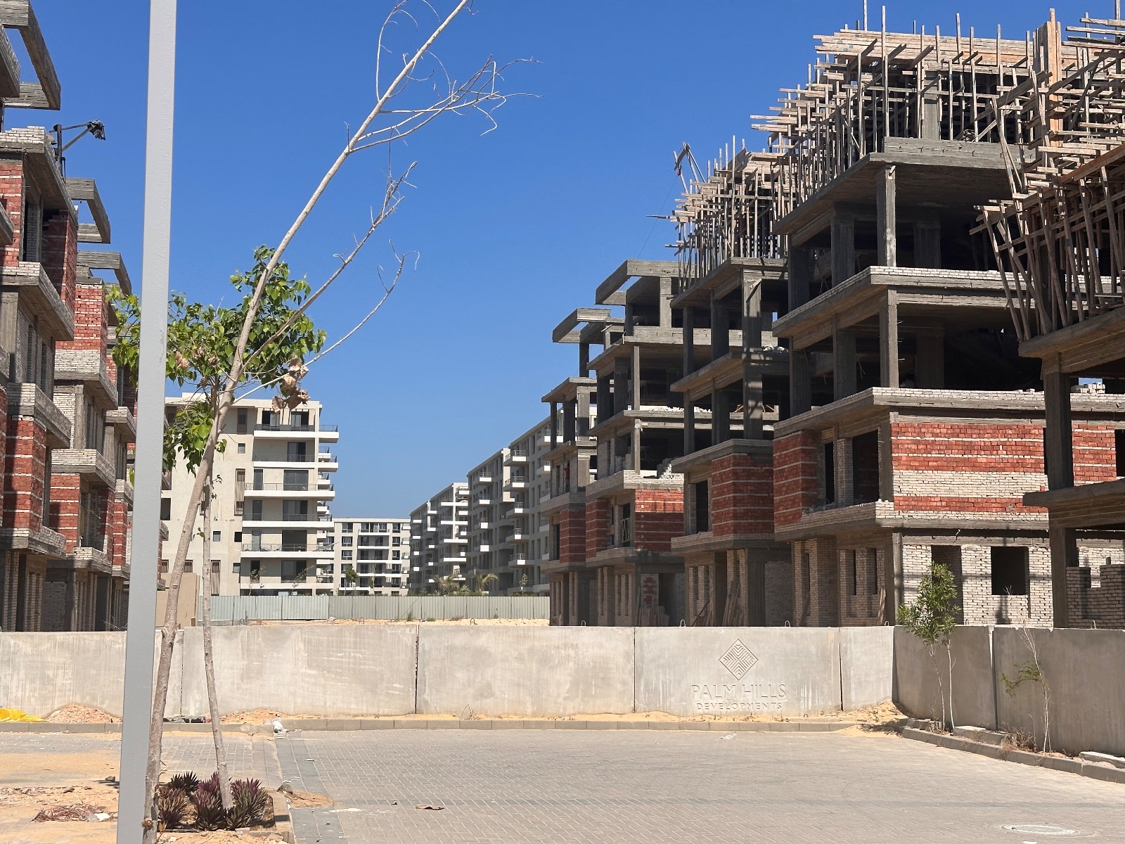 اسكندريه 3