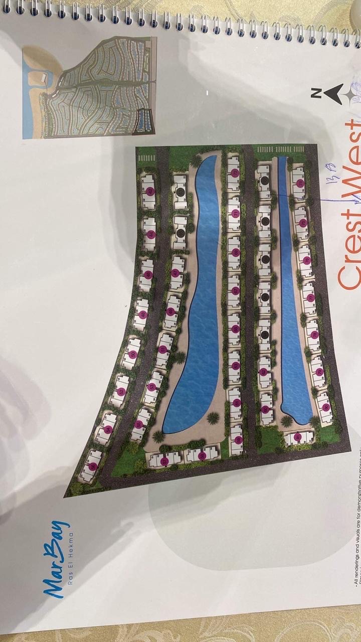 مار باي راس الحكمه 3