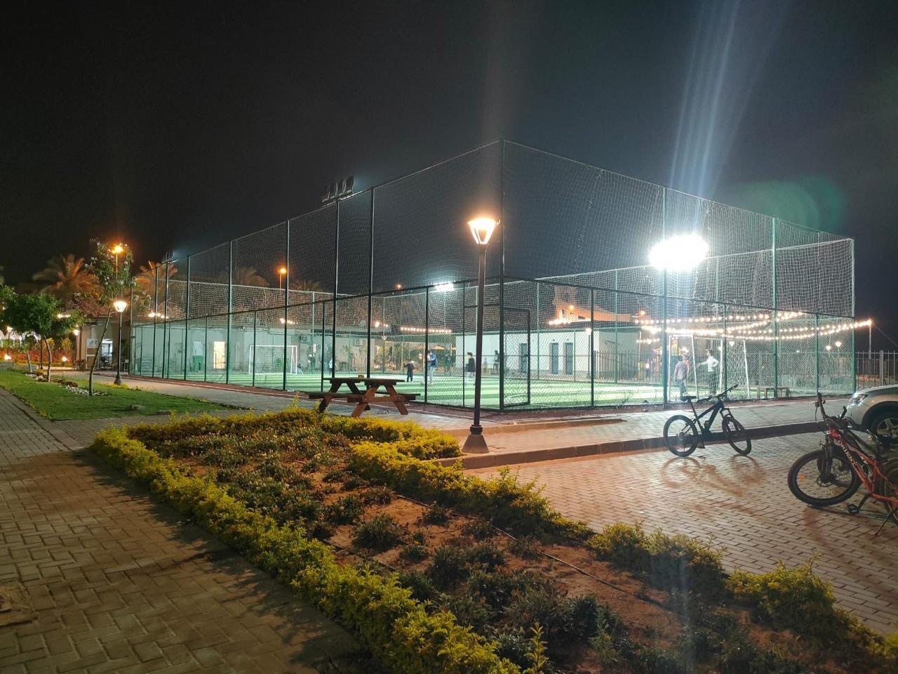 اشجار ستي 7