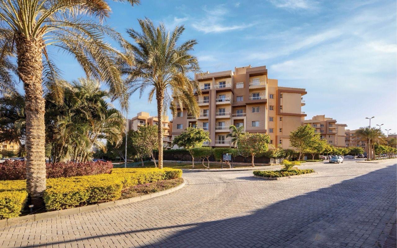 اشجار ستي 5