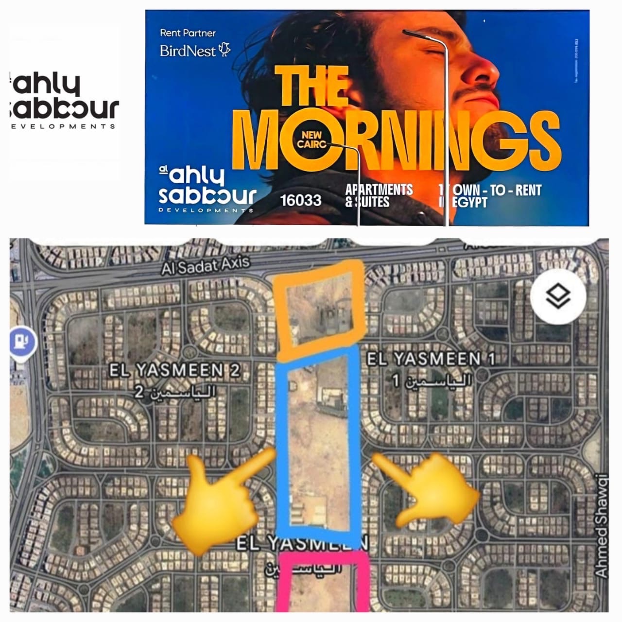The morning 2