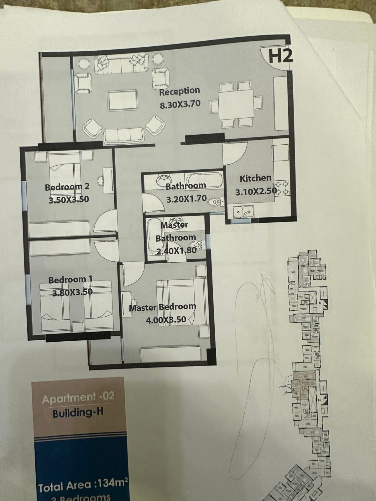 جاكرندا سموحة 2
