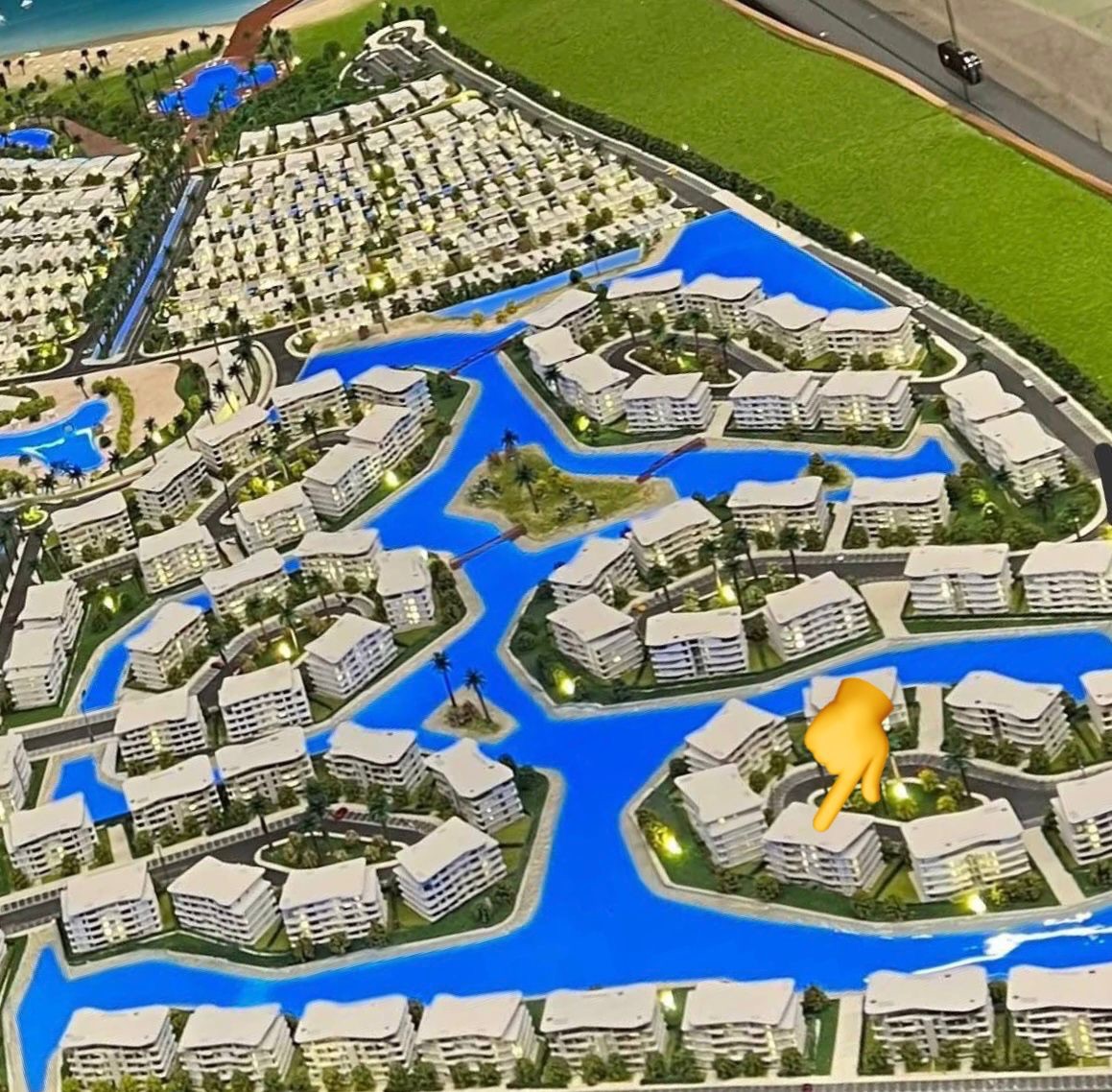 Safia 3