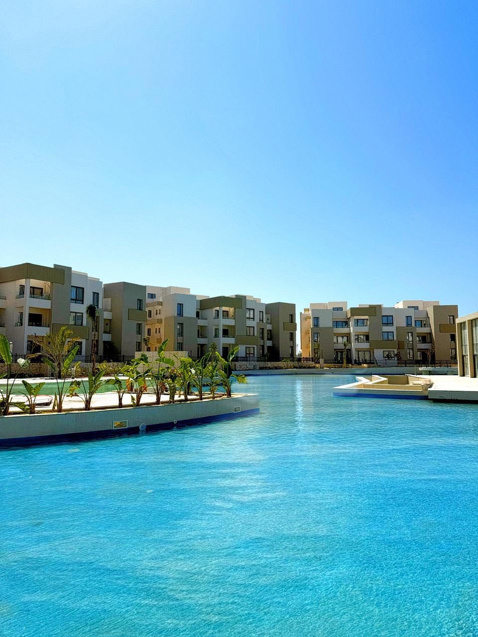 زهرة 7